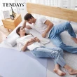 【TENDAYS】包浩斯紓壓床墊6尺加大雙人(6cm厚 記憶棉層+高Q彈纖維層)