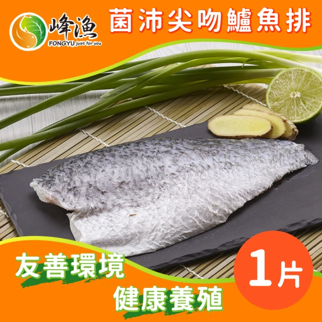 【峰漁安心水產】無毒 無刺 菌沛尖吻鱸魚排-1片組(250g±10%/片)