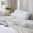 【織眠家族】天然防蹣防蚊釋壓枕-超強舒眠型-1入(採用Greenfirst技術)