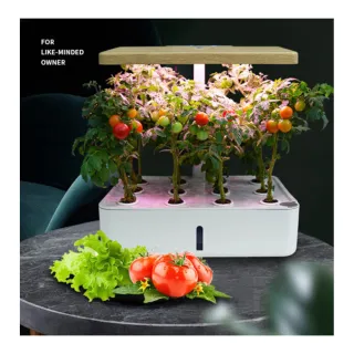 動 植物 Momo購物網 雙11優惠推薦 22年11月