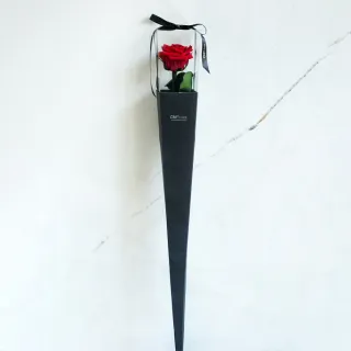 【CNFlower 西恩】恆星玫瑰單支錐盒-紅(送禮/買花/恆星花/花禮)