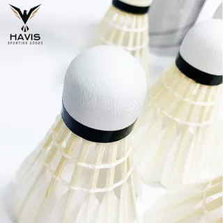 【HAVIS】H015-4練習級羽毛球-6入(適合一般初學者 羽毛球 羽球 練習羽毛球 軟木羽毛球 鴨毛羽毛球)