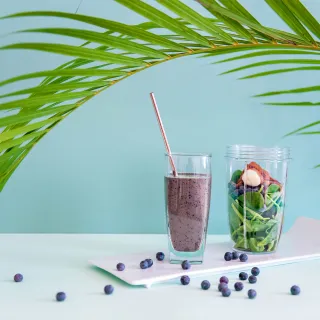 【基礎4件組】美國NutriBullet 600W高效營養果汁機(藕紫色)