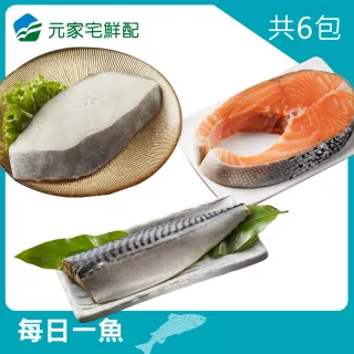 【元家】每日一魚 鮭魚中切+大比目魚+鯖魚(共6片)