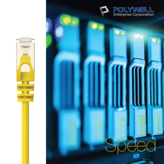【POLYWELL】CAT6A 高速乙太網路線 S/FTP 10Gbps 30公分(適合2.5G/5G/10G網卡 網路交換器 NAS伺服器)