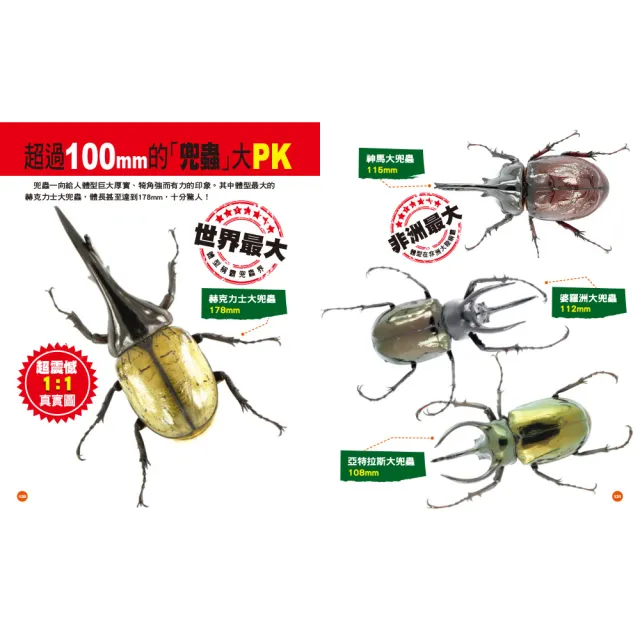 人類童書 台灣甲蟲大圖鑑 注音版 甲蟲軍團 Momo購物網 雙11優惠推薦 22年11月