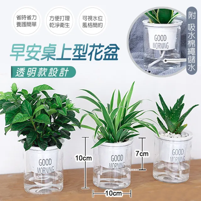 Fioja 費歐家 簡約早安桌上型懶人盆簡單好養種植 棉繩自動吸水花盆免澆水室內盆栽蓄水花盆 Momo購物網