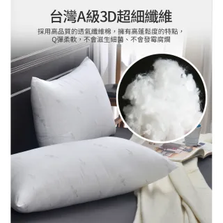 【Aibo】買1送1 日本熱賣大和化工抗菌獨立筒枕