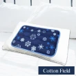【棉花田】極致酷涼冷凝枕墊萬用冰涼墊-多款可選(30x45cm)