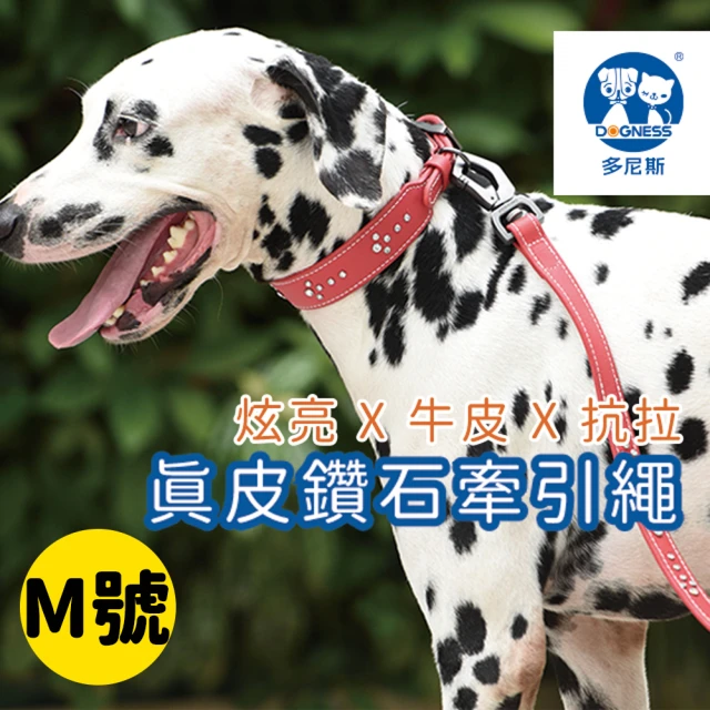 【美好寵商】DOGNESS多尼斯 真皮系列鑽石牽引繩_Ｍ號(寵物牽繩 戶外牽繩 狗牽繩)