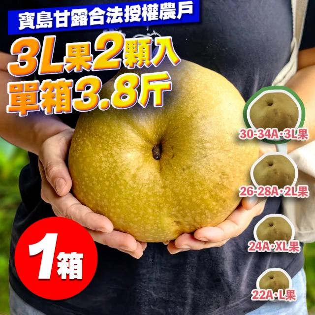 【果樹寶石】卓蘭最高鑑賞寶島甘露水梨特大果三箱 單箱至少8.25斤6顆入(外銷指定農場 巨脆雪藏甘甜)