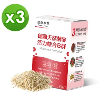 【達摩本草】專利天然藜麥綜合B群x3盒-60粒/盒(長效吸收、活力不斷電)