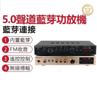 【菲仕德】110V擴大機 5聲道功放機(真空管擴音機 音響播放器)