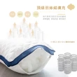 【JAROI】台灣製七星級飯店可水洗抗菌枕(買1送1)