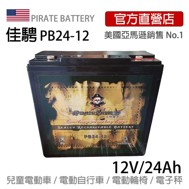 ZEBRA 斑馬牌 EB24-12 銀合金膠體電池12V24