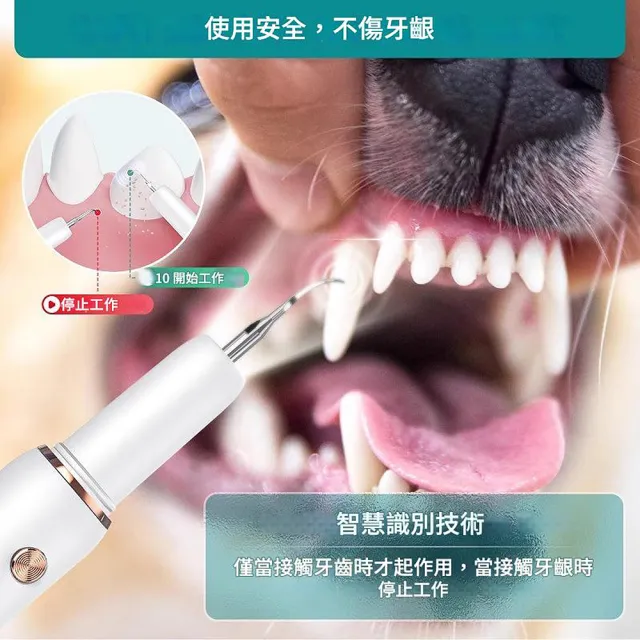 美國lacayo超音波寵物洗牙機 寵物去牙結石器貓狗沖牙機寵物牙膏牙刷貓狗口腔清潔組寵物潔牙組 Momo購物網