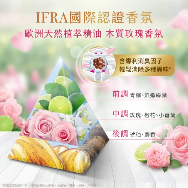 白蘭 含熊寶貝馨香精華超濃縮洗衣精補充包1 6kgx10入 森林 純凈 大自然 花漾 鼠尾草 小蒼蘭 Momo購物網 雙11優惠推薦