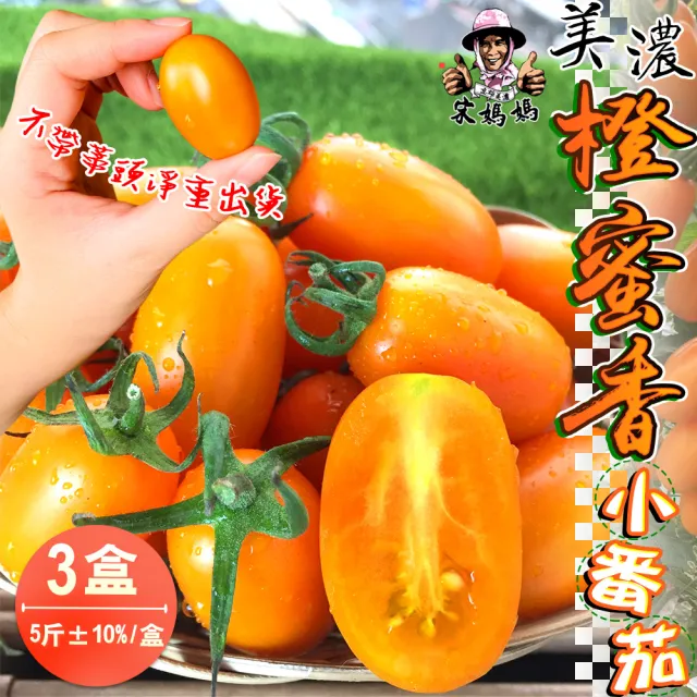 【宋媽媽】高雄美濃超人氣橙蜜香小番茄5斤x3盒(沒有蒂頭方便又美味)