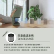 【Electrolux 伊萊克斯】極適家居300系列-個人及車用空氣清淨機專用配件組(EFCARU3)
