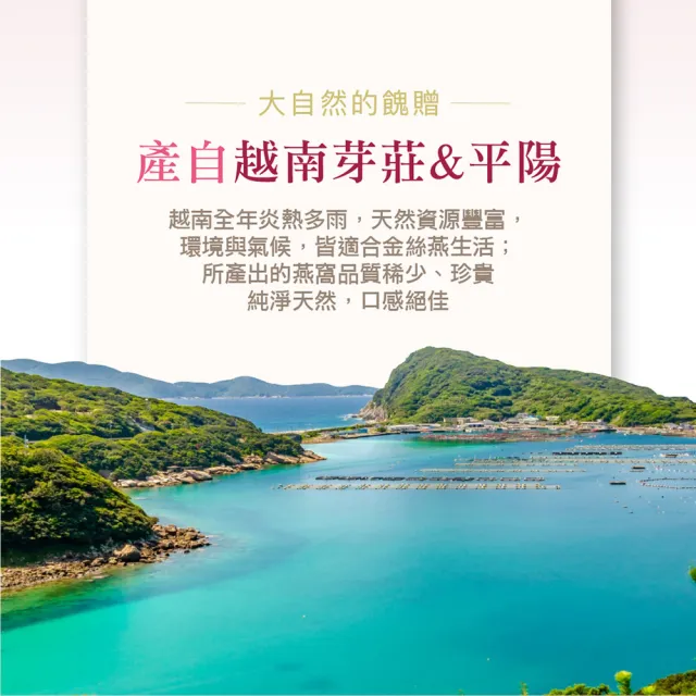 【廣生堂】原珍濃縮冰糖燕窩飲145ml6入(送燕窩女寶膏隨身包30入/盒1盒)