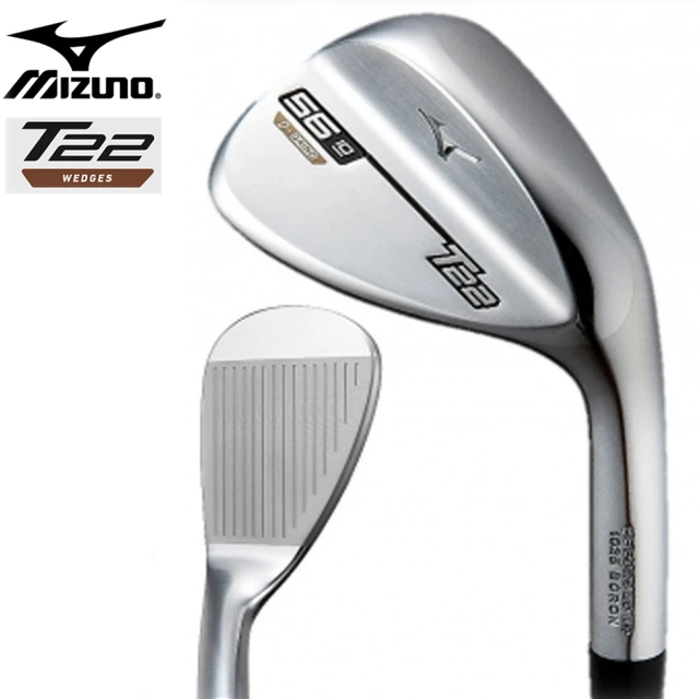 MIZUNO 美津濃 Mizuno Pro 245 鐵桿組 