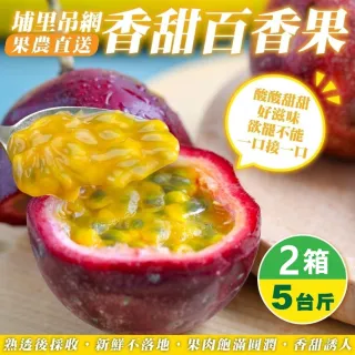 【WANG 蔬果】埔里吊網香甜百香果5斤x2箱(果農直配)
