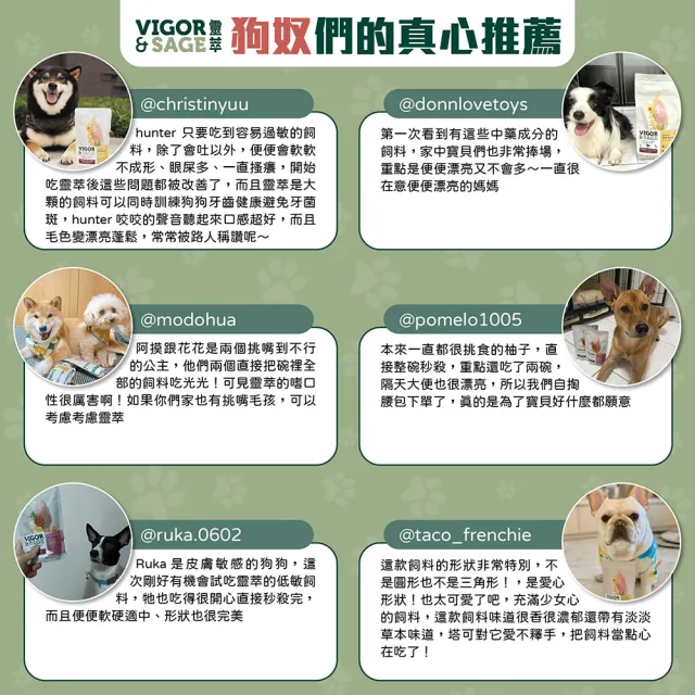 【Vigor & Sage 靈萃】人參低敏無穀健體配方狗飼料-去骨鮮雞+綠茶-成犬-2kg(無穀 低敏 人參 雞肉 成犬)