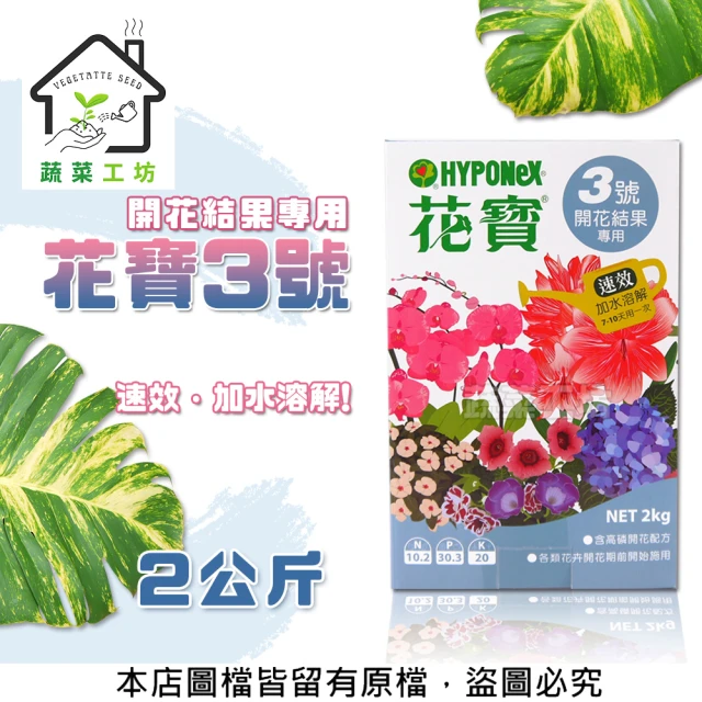 蔬菜工坊 花寶3號2公斤