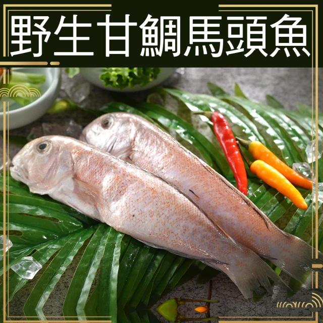 當季野生船釣鮮嫩馬頭魚超殺特惠