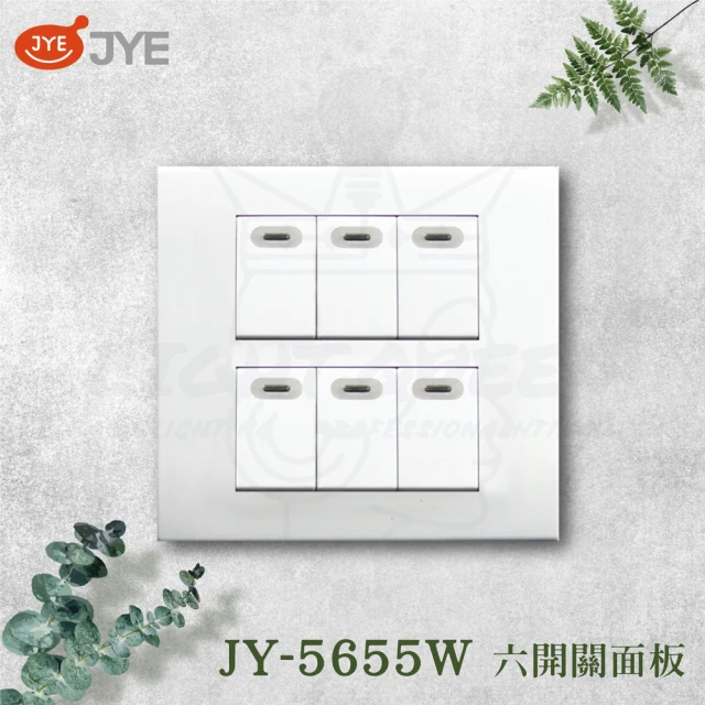 中一電工 JYE 2入組 PANDA 熊貓系列 夜光壁切(六開關蓋板組 JY-5655W)