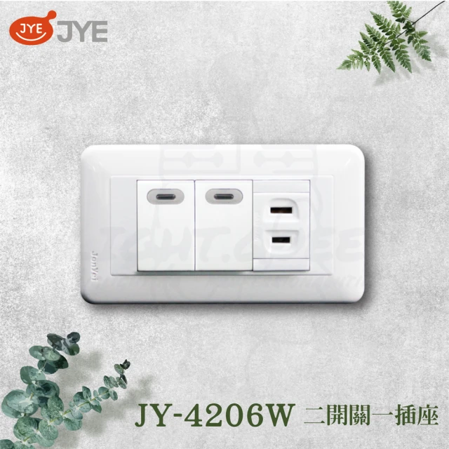 中一電工 JYE 10入組 PANDA 熊貓系列 夜光壁切(二開關一插座蓋板組 JY-4206W)