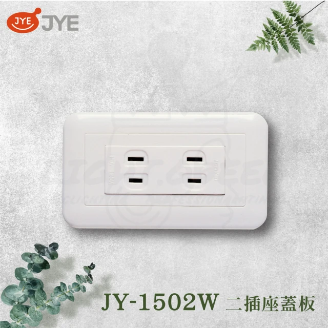 中一電工 JYE 5入組 PANDA 熊貓系列 夜光壁切(雙插座組 JY-1502W)