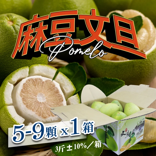 朋泉文旦 朋泉-台南麻豆文旦5台斤/盒x2盒(6顆/1盒-共