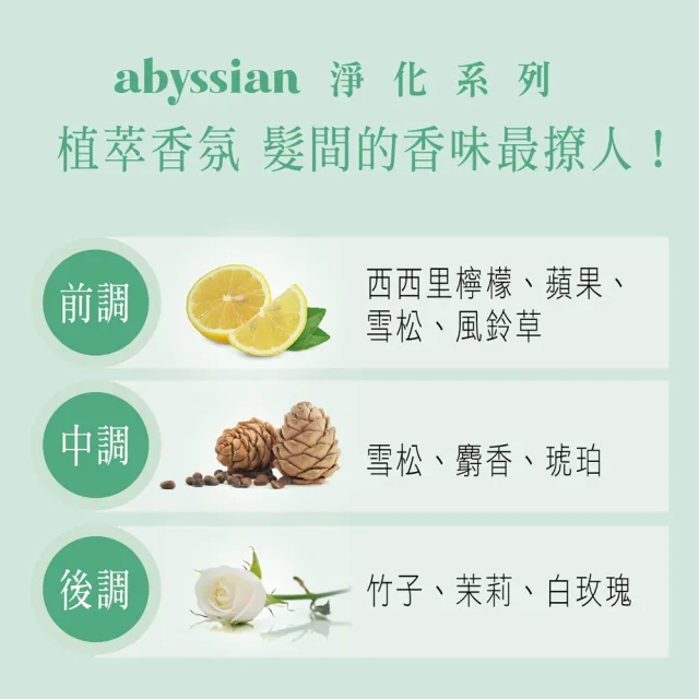 【Abyssian】雅蓓絲 激活蛋白重建髮膜(250ml)