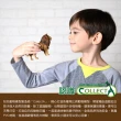 【collectA】野生動物-小野豬-走路(R883656)