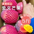 【禾ME】外銷級愛文芒果禮盒(8-10顆/5台斤)