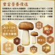 【瑞康生醫】純素-台灣巴西蘑菇乾菇30g-冷凍乾燥技術-共2盒(巴西蘑菇 姬松茸  巴西蘑菇乾菇)