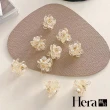 【HERA 赫拉】韓國東大門透明花朵小爪夾 -3入H111041204(花朵小爪夾)