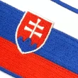【A-ONE 匯旺】斯洛伐克 國旗燙貼 Flag Patch裝飾貼 布藝貼布繡 熨燙徽章 電繡識別