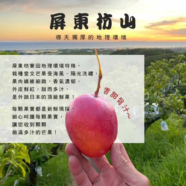 【雪莉朵辣】屏東枋山愛文芒果x2盒(大果-5斤±10%/盒/約6-8顆)