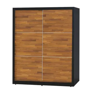 【綠活居】凡帝  雙色5.1尺推門高衣櫃(含穿衣鏡面)