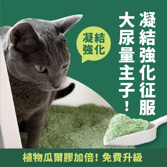 【LEEDE CAT 里德】里德極細豌豆腐砂(買5包送1包組)