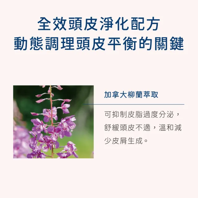 【INGENI 新肌霓】頭皮淨透洗髮露350ml