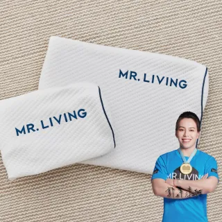 【MR. LIVING 居家先生】加購優惠-護頸減壓蝶型記憶枕-專用枕套(不適用於一般枕頭)