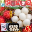 【五甲木】泰國鮮凍紅毛丹果肉250gx10盒(約14-17顆/盒)