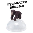 【TAKARA TOMY】ANIA 多美動物 AC-03 猩猩寶寶(男孩 動物模型)