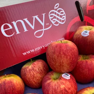 【RealShop】紐西蘭Envy愛妃蘋果2.2kg±10%x1盒(共8顆 真食材本舖 送禮首選 禮盒)