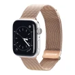 【DUX DUCIS】Apple Watch  38/40/41 米蘭尼斯錶帶