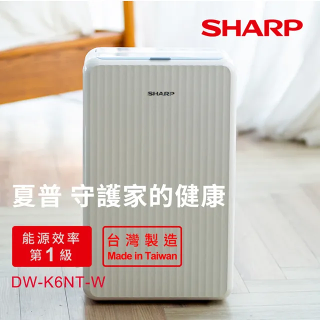 【SHARP 夏普】一級能效6公升高效除濕機+恆溫烘鞋機(DW-K6NT-W)