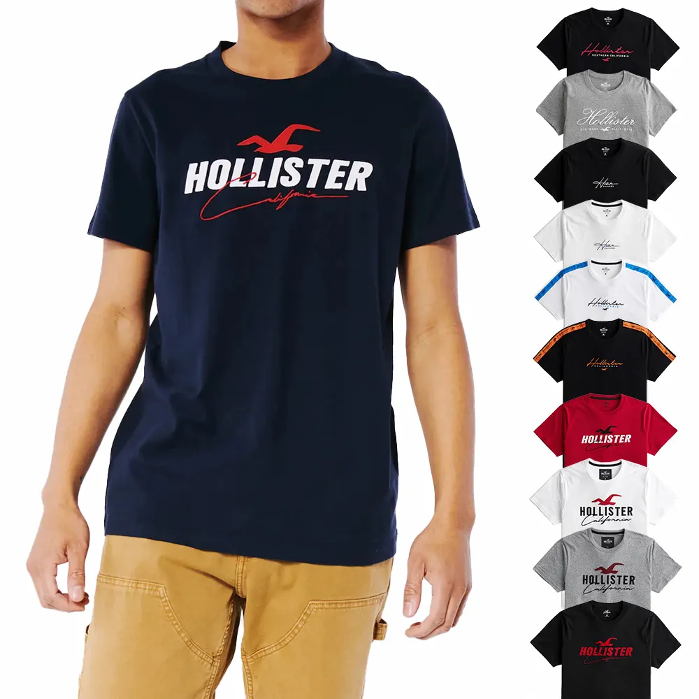 【HOLLISTER Co】HCO 海鷗 經典圖案短袖T恤 上衣-男-多色款組合(可男女搭配/春夏舒適/平輸品/短T)